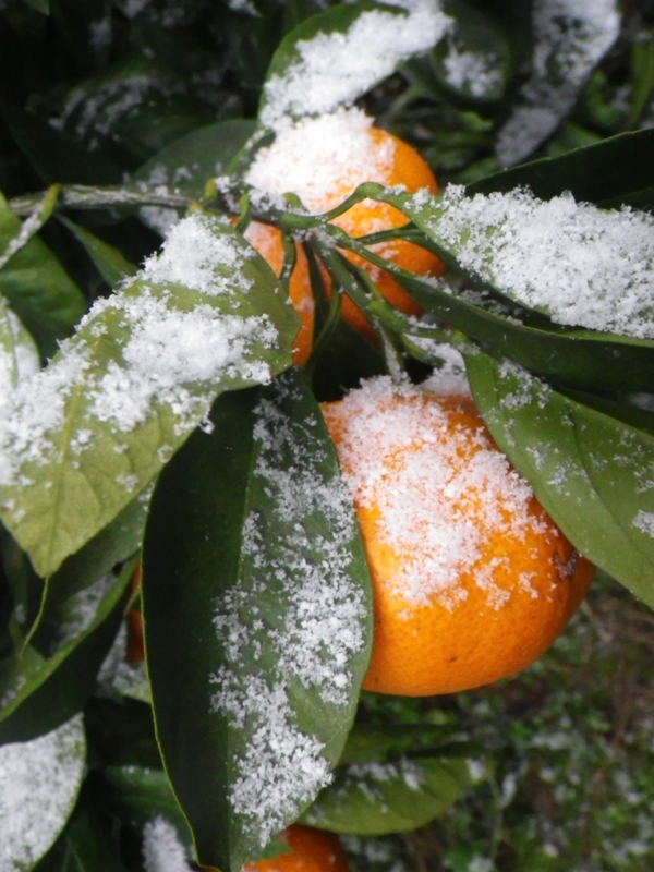 f:id:sattisatisatti:20121231181445j:image:w360