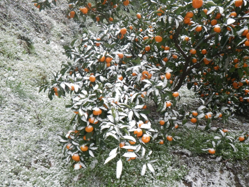 f:id:sattisatisatti:20121231181447j:image:w360