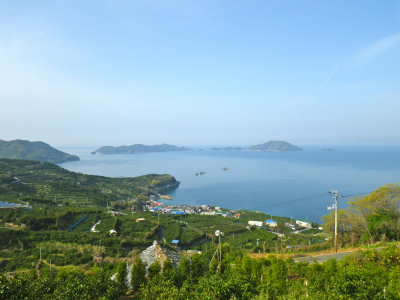 f:id:sattisatisatti:20130402065443j:image:w640