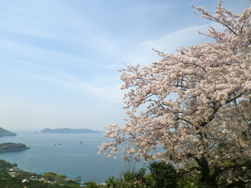 f:id:sattisatisatti:20130402065446j:image:w640