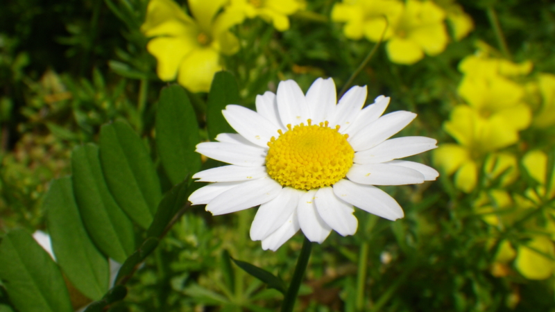 f:id:sattisatisatti:20130402065449j:image:w640