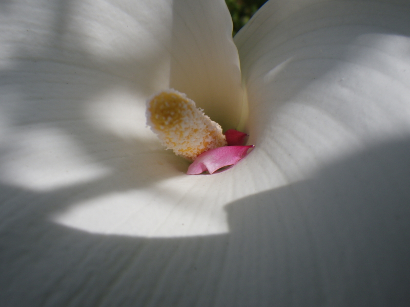 f:id:sattisatisatti:20130402065451j:image:w640