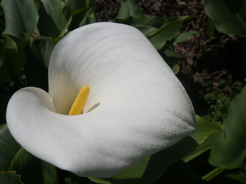 f:id:sattisatisatti:20130402065452j:image:w640