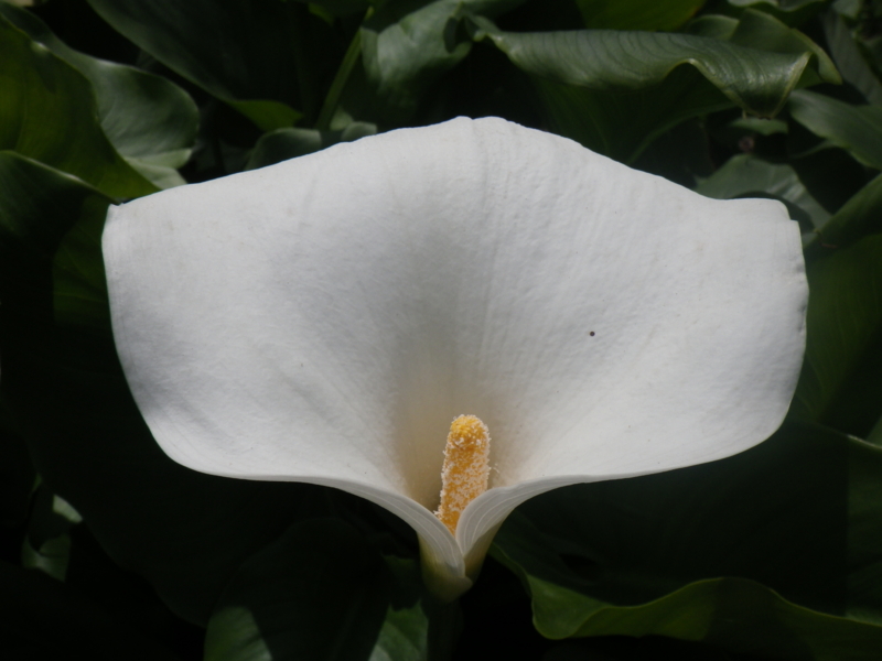 f:id:sattisatisatti:20130402065453j:image:w640