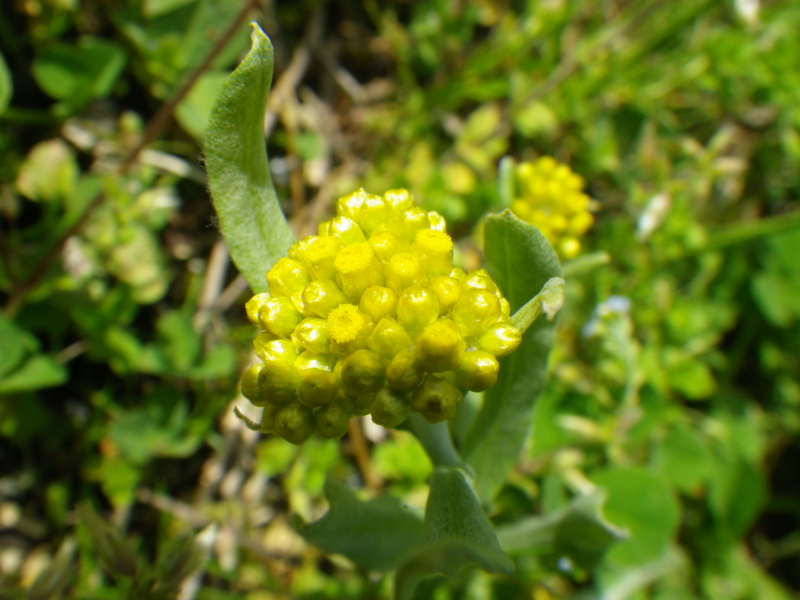f:id:sattisatisatti:20130404071410j:image:w640 f:id:sattisatisatti:20130404071410j:image:w640