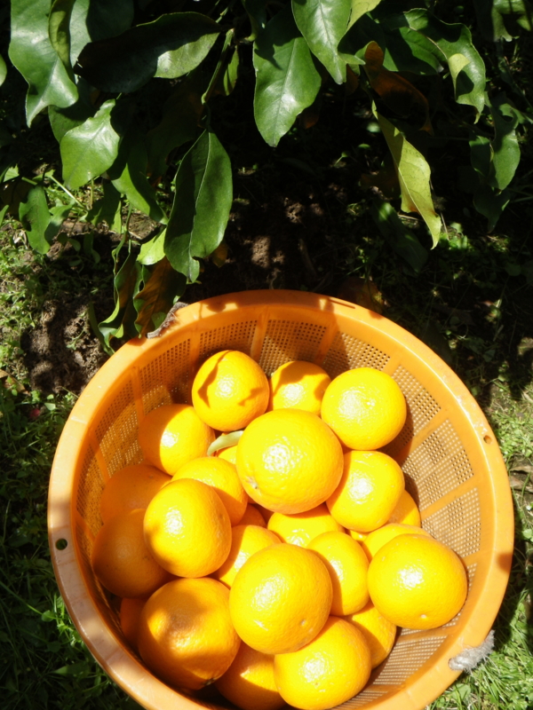 f:id:sattisatisatti:20130404071412j:image:w400 f:id:sattisatisatti:20130404071412j:image:w400