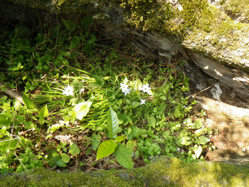 f:id:sattisatisatti:20130404071424j:image:w500 f:id:sattisatisatti:20130404071424j:image:w500