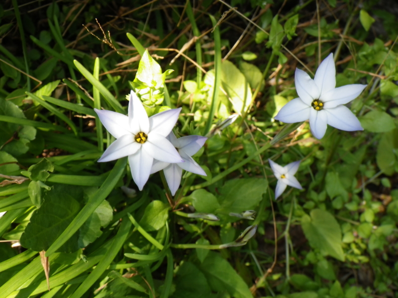 f:id:sattisatisatti:20130404071425j:image:w500 f:id:sattisatisatti:20130404071425j:image:w500