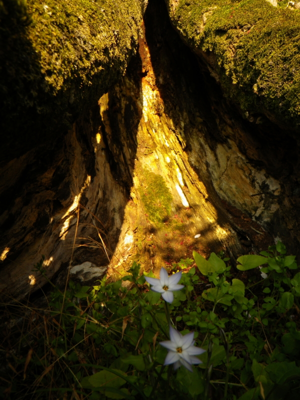 f:id:sattisatisatti:20130404071426j:image:w360 f:id:sattisatisatti:20130404071426j:image:w360