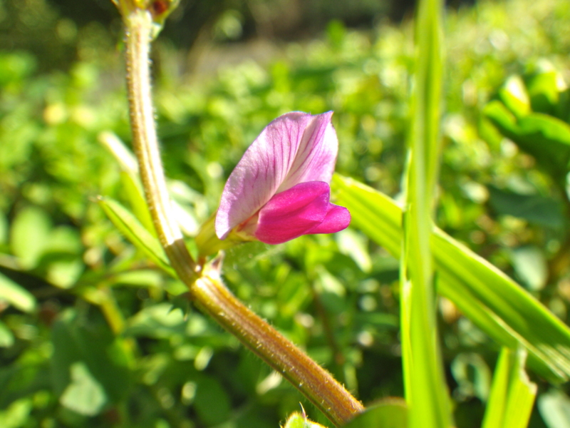 f:id:sattisatisatti:20130406103215j:image:w360 f:id:sattisatisatti:20130406103215j:image:w360