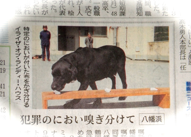 f:id:sattisatisatti:20130406104002j:image:w360 f:id:sattisatisatti:20130406104002j:image:w360