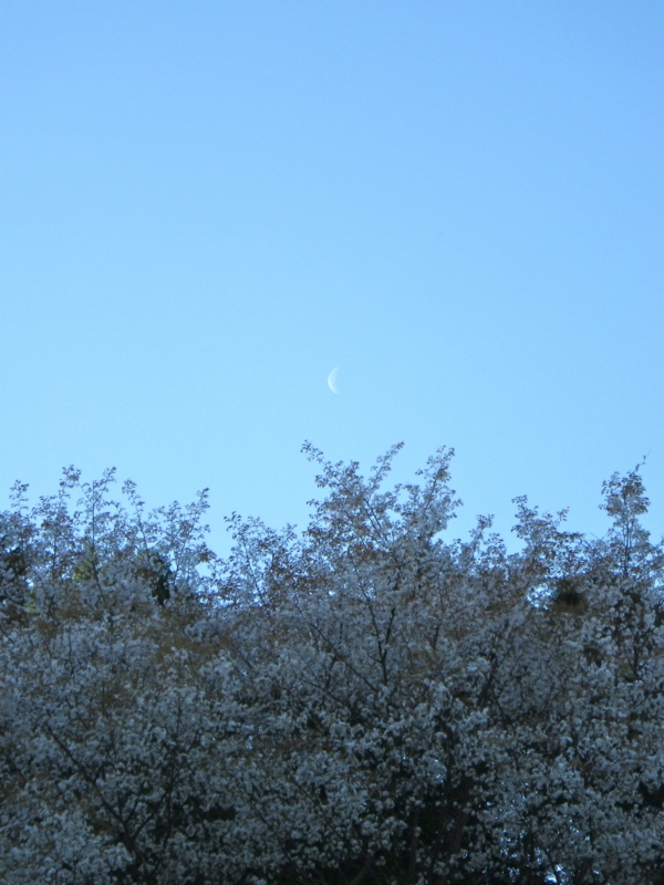 f:id:sattisatisatti:20130406104003j:image:w360 f:id:sattisatisatti:20130406104003j:image:w360
