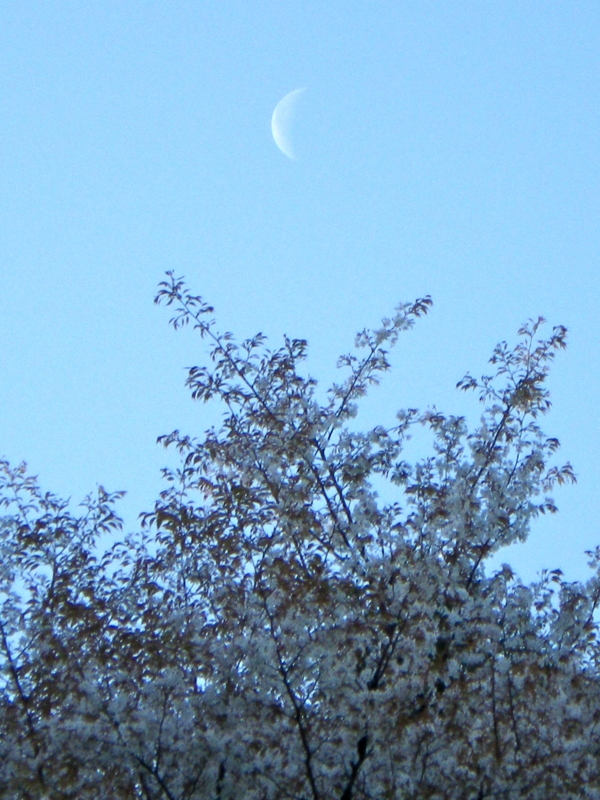 f:id:sattisatisatti:20130406104004j:image:w360 f:id:sattisatisatti:20130406104004j:image:w360