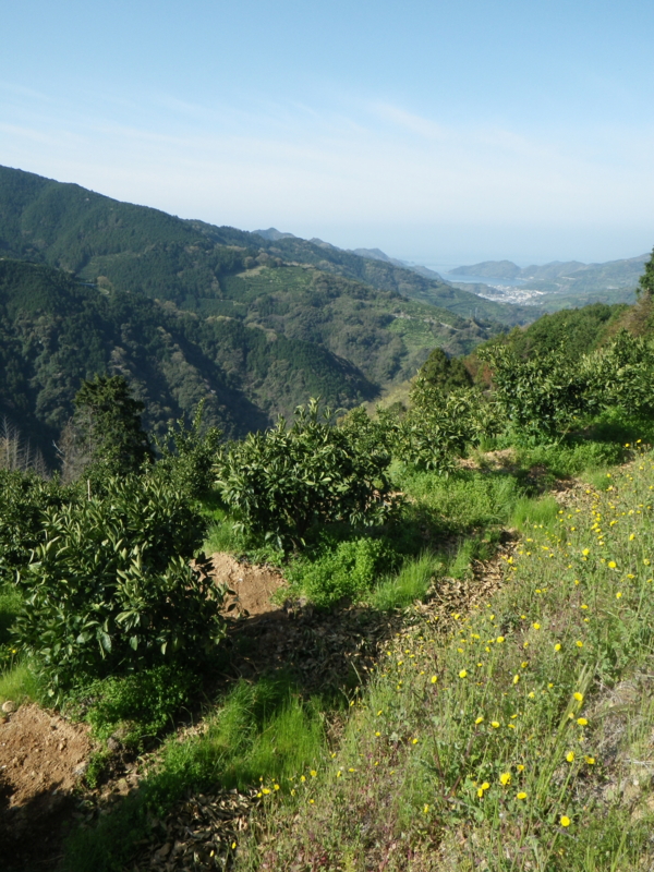 f:id:sattisatisatti:20130406104006j:image:w360 f:id:sattisatisatti:20130406104006j:image:w360