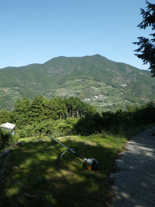 f:id:sattisatisatti:20130406104007j:image:w360 f:id:sattisatisatti:20130406104007j:image:w360