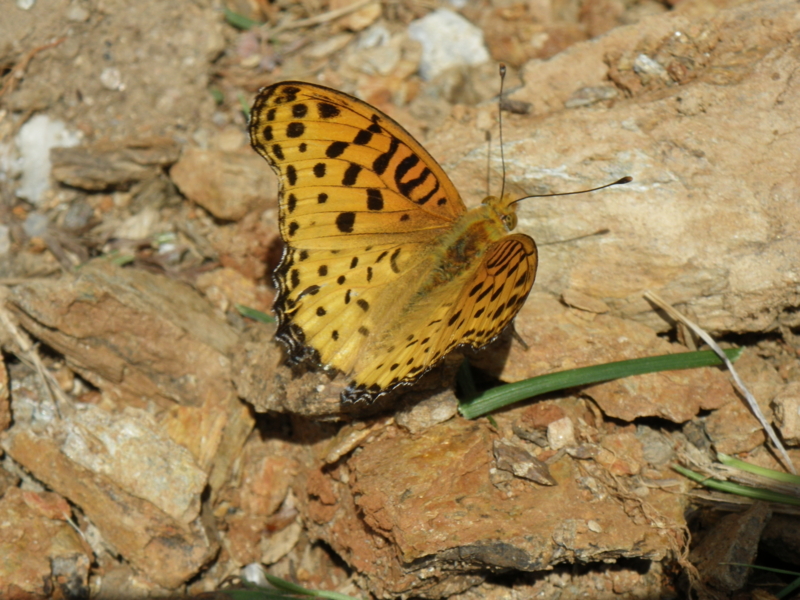 f:id:sattisatisatti:20130406104015j:image:w640 f:id:sattisatisatti:20130406104015j:image:w640