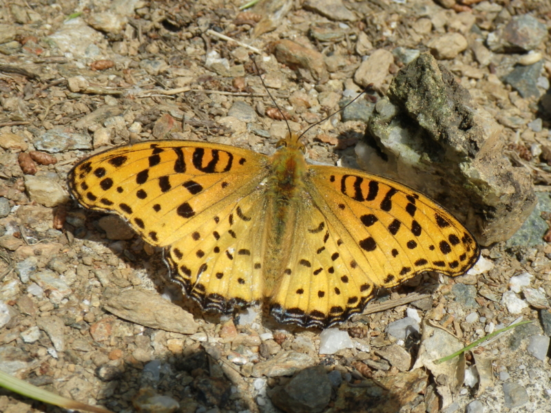f:id:sattisatisatti:20130406104017j:image:w640 f:id:sattisatisatti:20130406104017j:image:w640