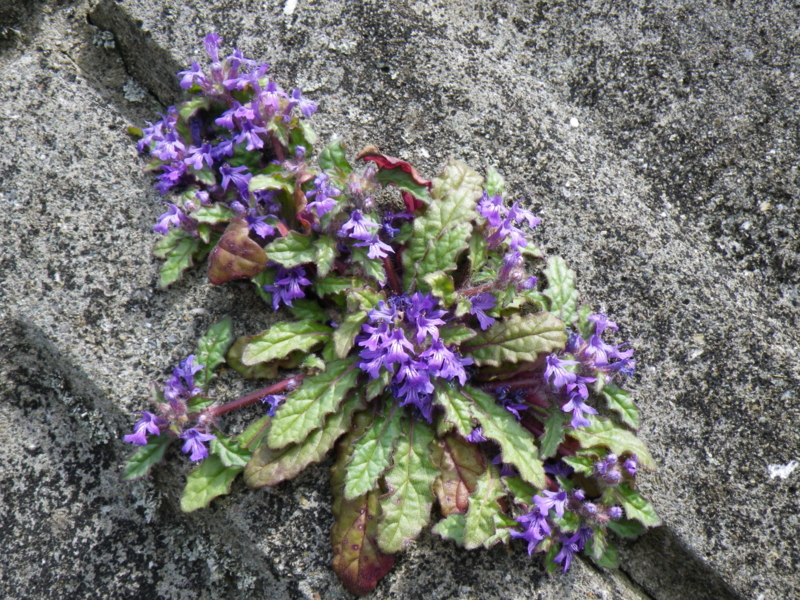 f:id:sattisatisatti:20130406104019j:image:w640 f:id:sattisatisatti:20130406104019j:image:w640