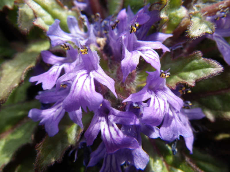 f:id:sattisatisatti:20130406104020j:image:w640 f:id:sattisatisatti:20130406104020j:image:w640