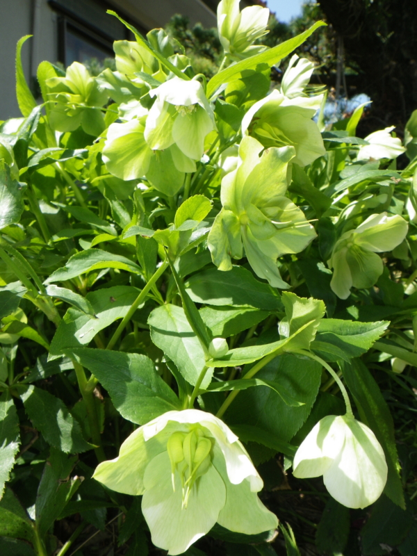f:id:sattisatisatti:20130409064315j:image:w360 f:id:sattisatisatti:20130409064315j:image:w360