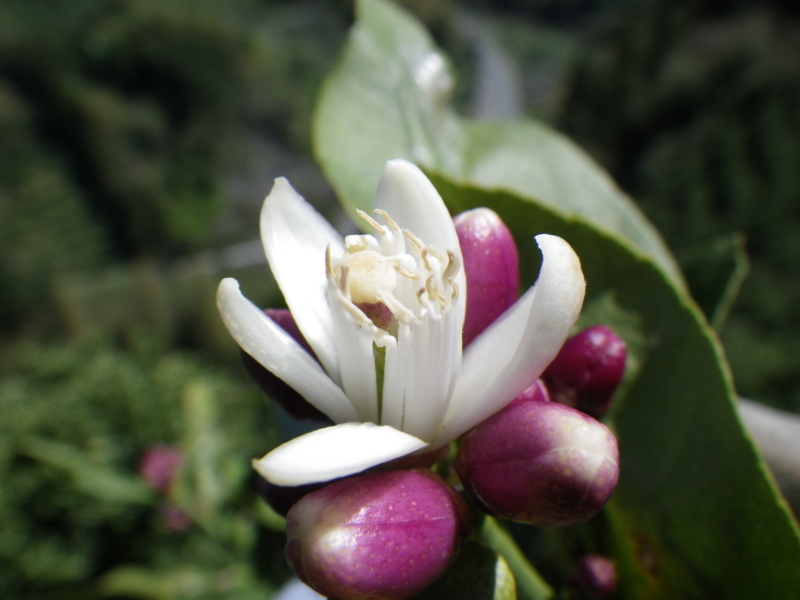 f:id:sattisatisatti:20130409064319j:image:w640 f:id:sattisatisatti:20130409064319j:image:w640