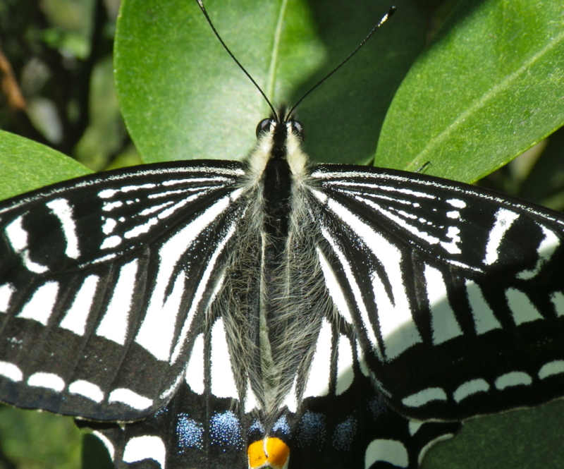 f:id:sattisatisatti:20130409064323j:image:w640 f:id:sattisatisatti:20130409064323j:image:w640