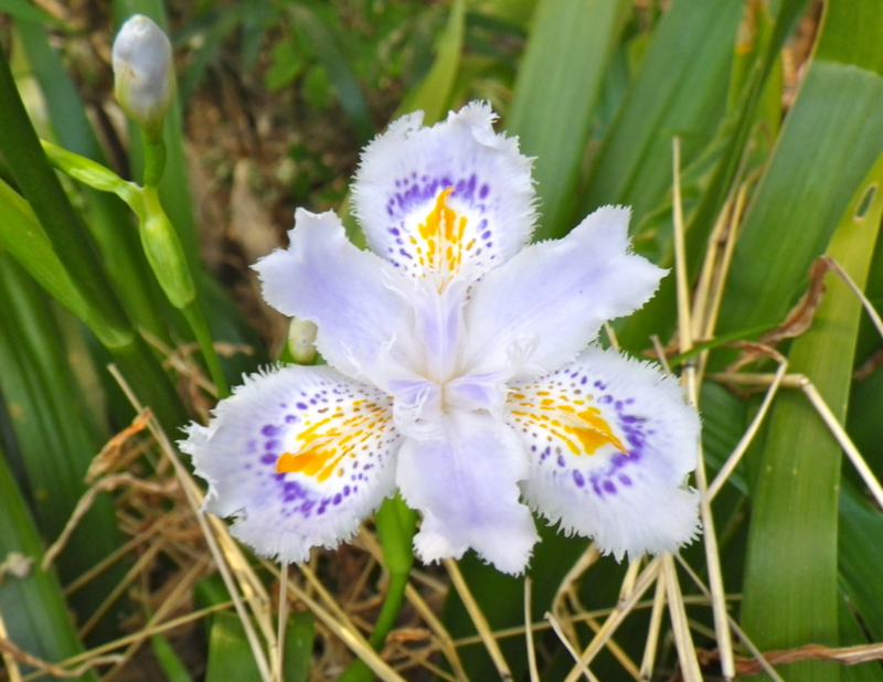 f:id:sattisatisatti:20130409064331j:image:w640 f:id:sattisatisatti:20130409064331j:image:w640