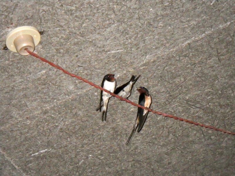 f:id:sattisatisatti:20130420225833j:image:w360 f:id:sattisatisatti:20130420225833j:image:w360