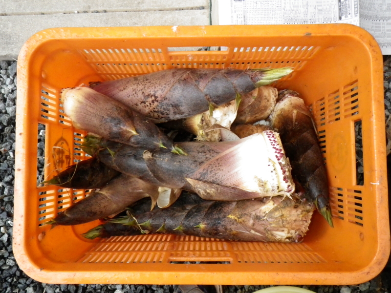 f:id:sattisatisatti:20130420225843j:image:w360 f:id:sattisatisatti:20130420225843j:image:w360