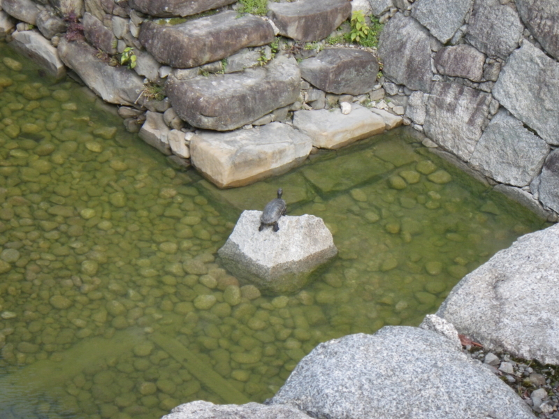 f:id:sattisatisatti:20130422041711j:image:w360 f:id:sattisatisatti:20130422041711j:image:w360