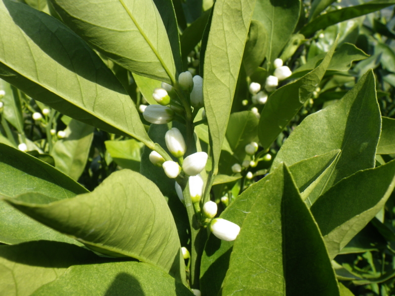 f:id:sattisatisatti:20130430053955j:image:w360 f:id:sattisatisatti:20130430053955j:image:w360