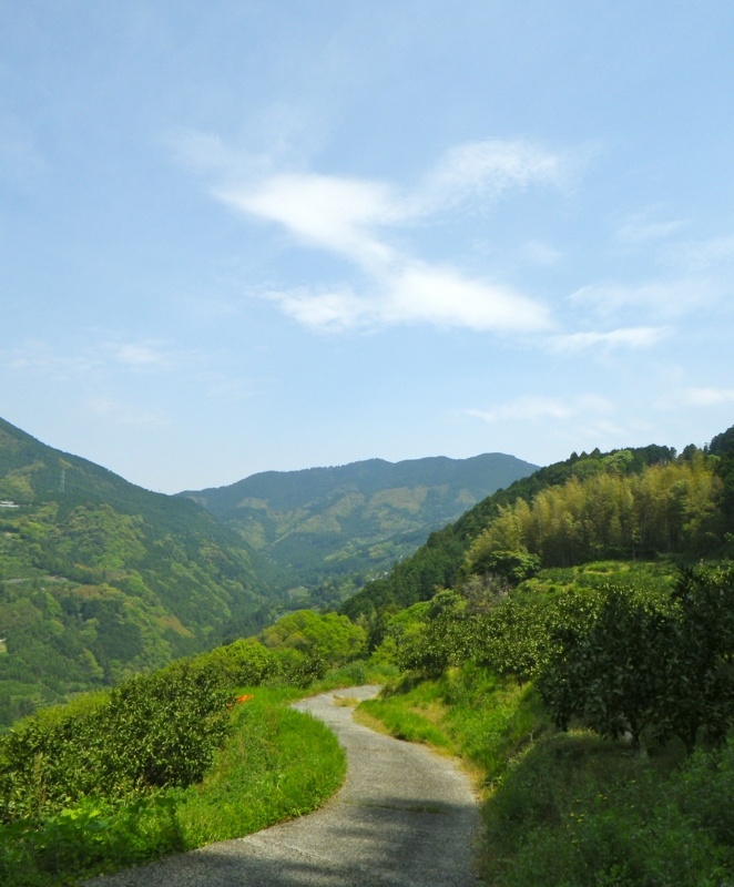 f:id:sattisatisatti:20130430053958j:image:w360 f:id:sattisatisatti:20130430053958j:image:w360