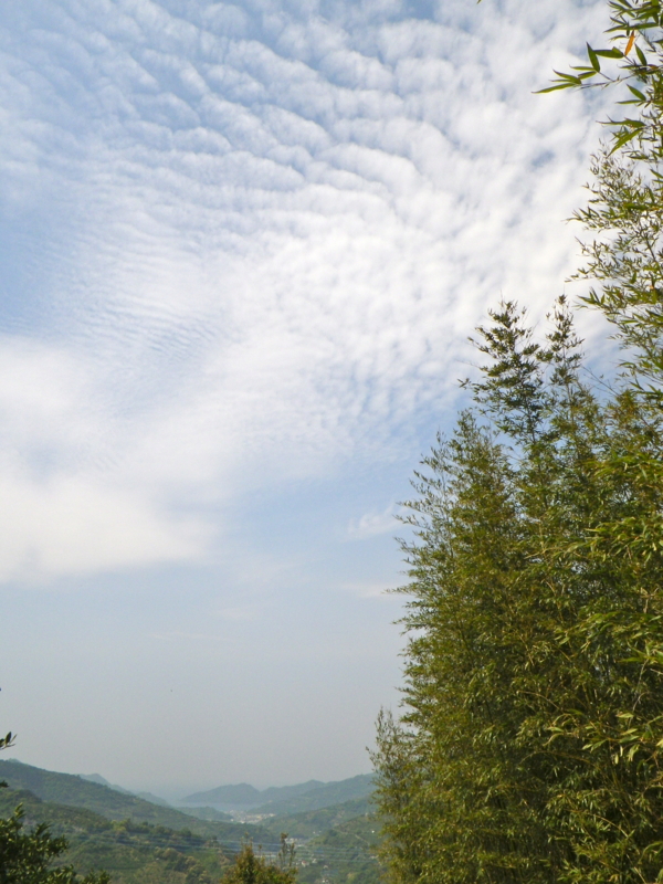 f:id:sattisatisatti:20130430054348j:image:w360 f:id:sattisatisatti:20130430054348j:image:w360