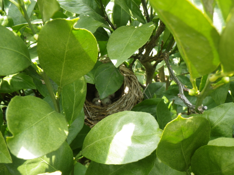 f:id:sattisatisatti:20130430054351j:image:w640 f:id:sattisatisatti:20130430054351j:image:w640