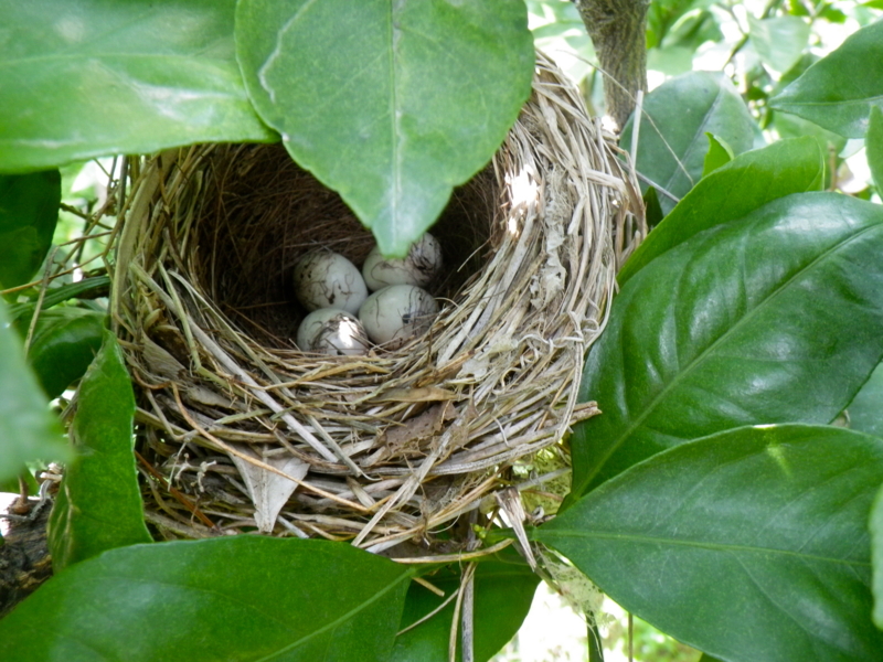 f:id:sattisatisatti:20130430054352j:image:w640 f:id:sattisatisatti:20130430054352j:image:w640