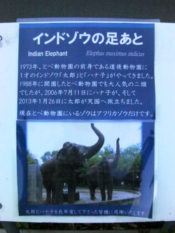 f:id:sattisatisatti:20130620053830j:image:w360