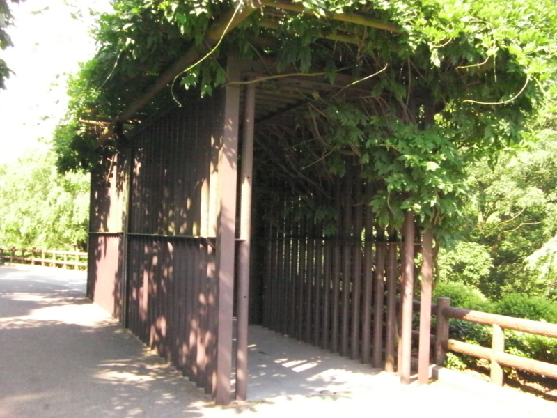 f:id:sattisatisatti:20130620053832j:image:w640