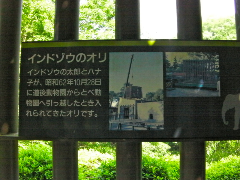 f:id:sattisatisatti:20130620053833j:image:w360