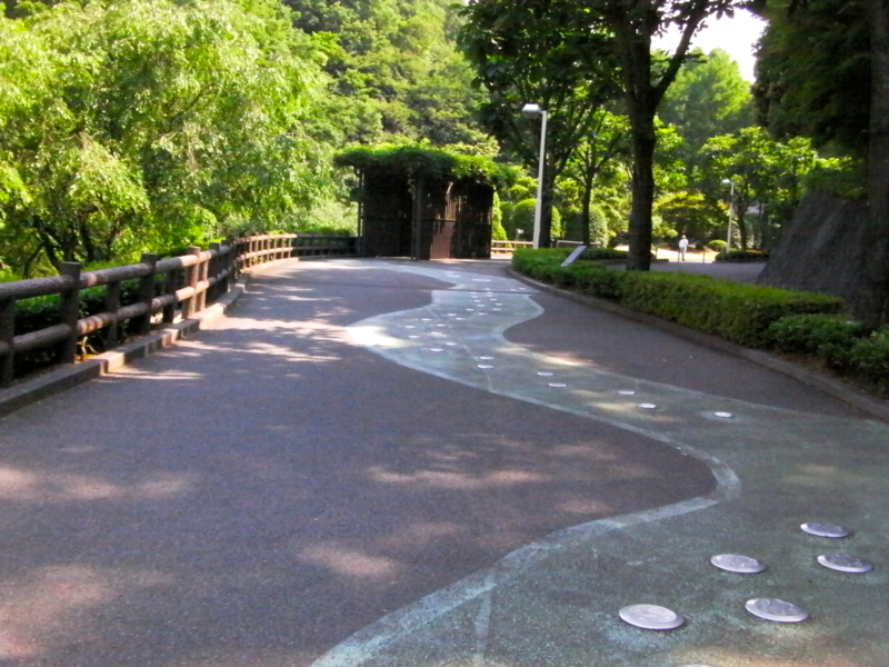 f:id:sattisatisatti:20130620053834j:image:w640