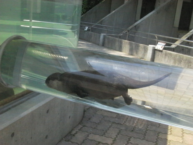 f:id:sattisatisatti:20130620053847j:image:w640
