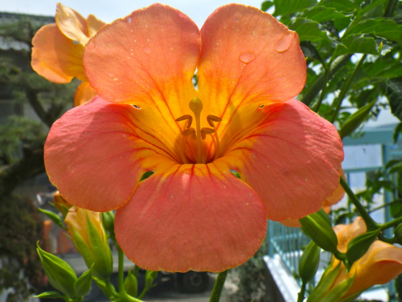 f:id:sattisatisatti:20130623170709j:image:w640 f:id:sattisatisatti:20130623170709j:image:w640