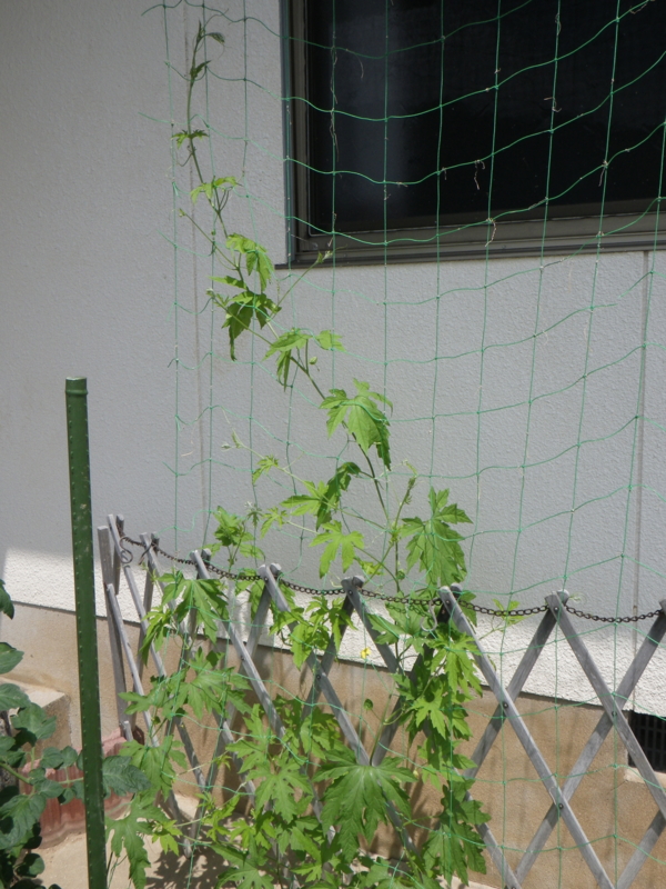 f:id:sattisatisatti:20130623182126j:image:w360 f:id:sattisatisatti:20130623182126j:image:w360