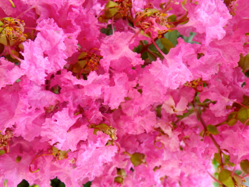 f:id:sattisatisatti:20130811053413j:image:w640 f:id:sattisatisatti:20130811053413j:image:w640
