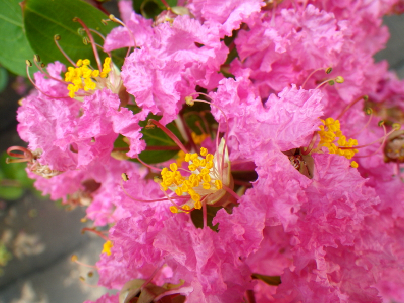 f:id:sattisatisatti:20130811053419j:image:w640 f:id:sattisatisatti:20130811053419j:image:w640