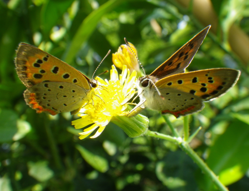 f:id:sattisatisatti:20130811053420j:image:w640 f:id:sattisatisatti:20130811053420j:image:w640