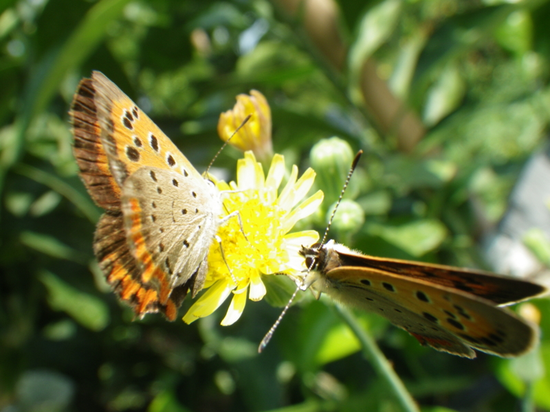 f:id:sattisatisatti:20130811053421j:image:w640 f:id:sattisatisatti:20130811053421j:image:w640