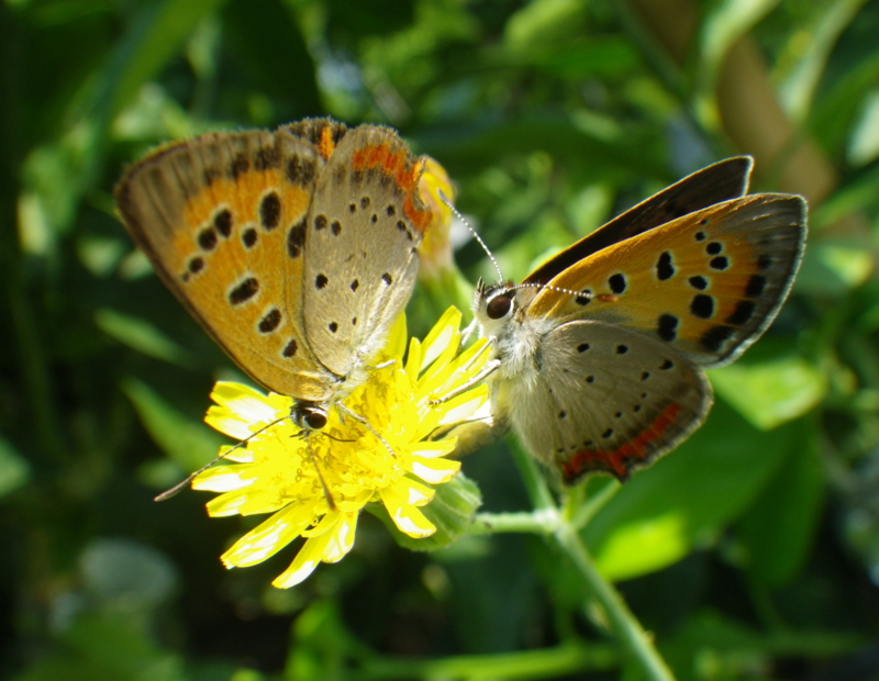f:id:sattisatisatti:20130811053422j:image:w640 f:id:sattisatisatti:20130811053422j:image:w640