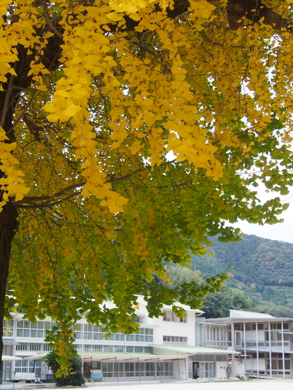 f:id:sattisatisatti:20131127000332j:image:w640