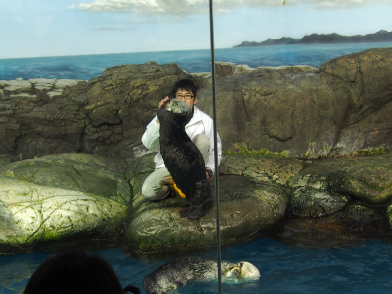 f:id:sattisatisatti:20140202194014j:image:w640 f:id:sattisatisatti:20140202194014j:image:w640