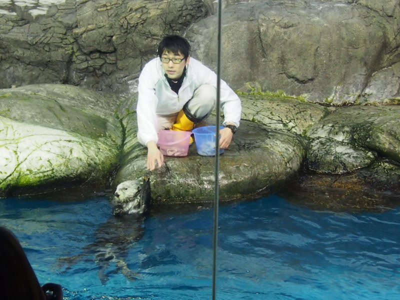f:id:sattisatisatti:20140202194016j:image:w640 f:id:sattisatisatti:20140202194016j:image:w640